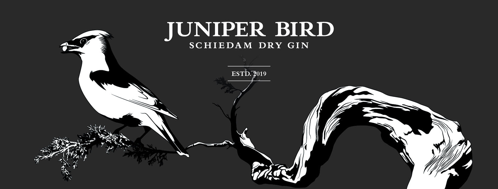 Gin